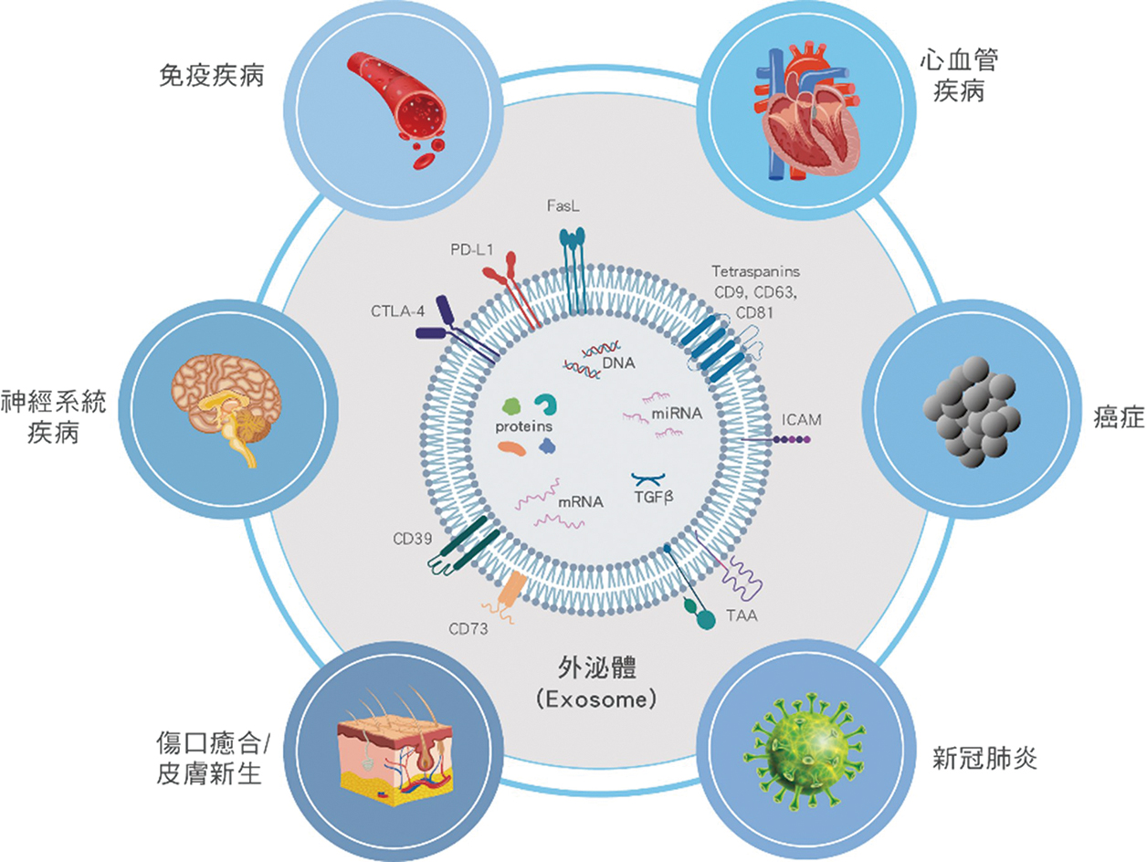 外泌體Exosome的臨床應用